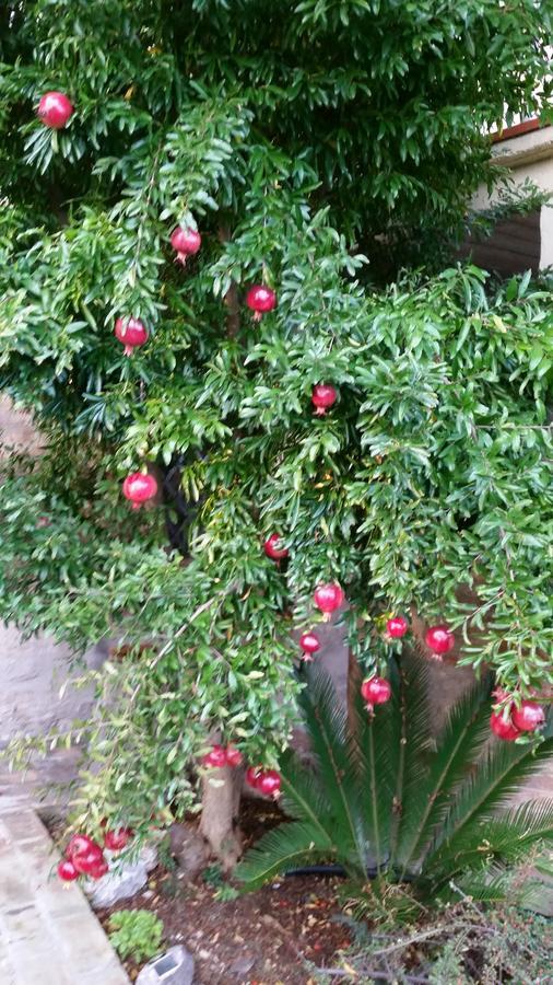 La Maison Jujube Morrovalle Екстериор снимка