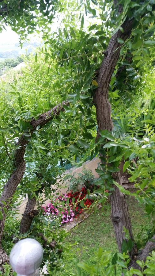 La Maison Jujube Morrovalle Екстериор снимка